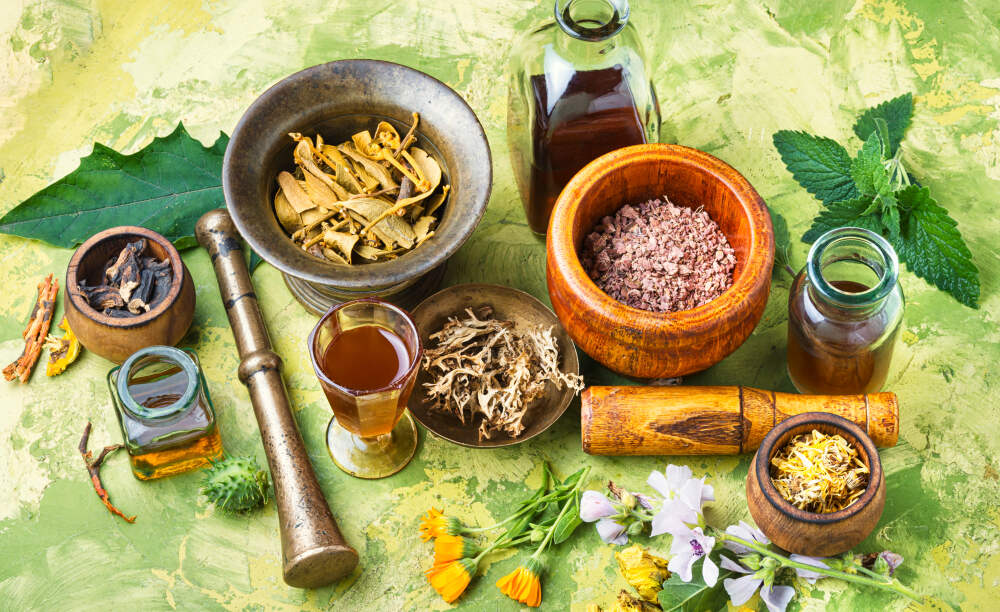 The Ayurvedic <em>Lifestyle</em>